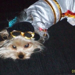 Meet your Posher, Lexi